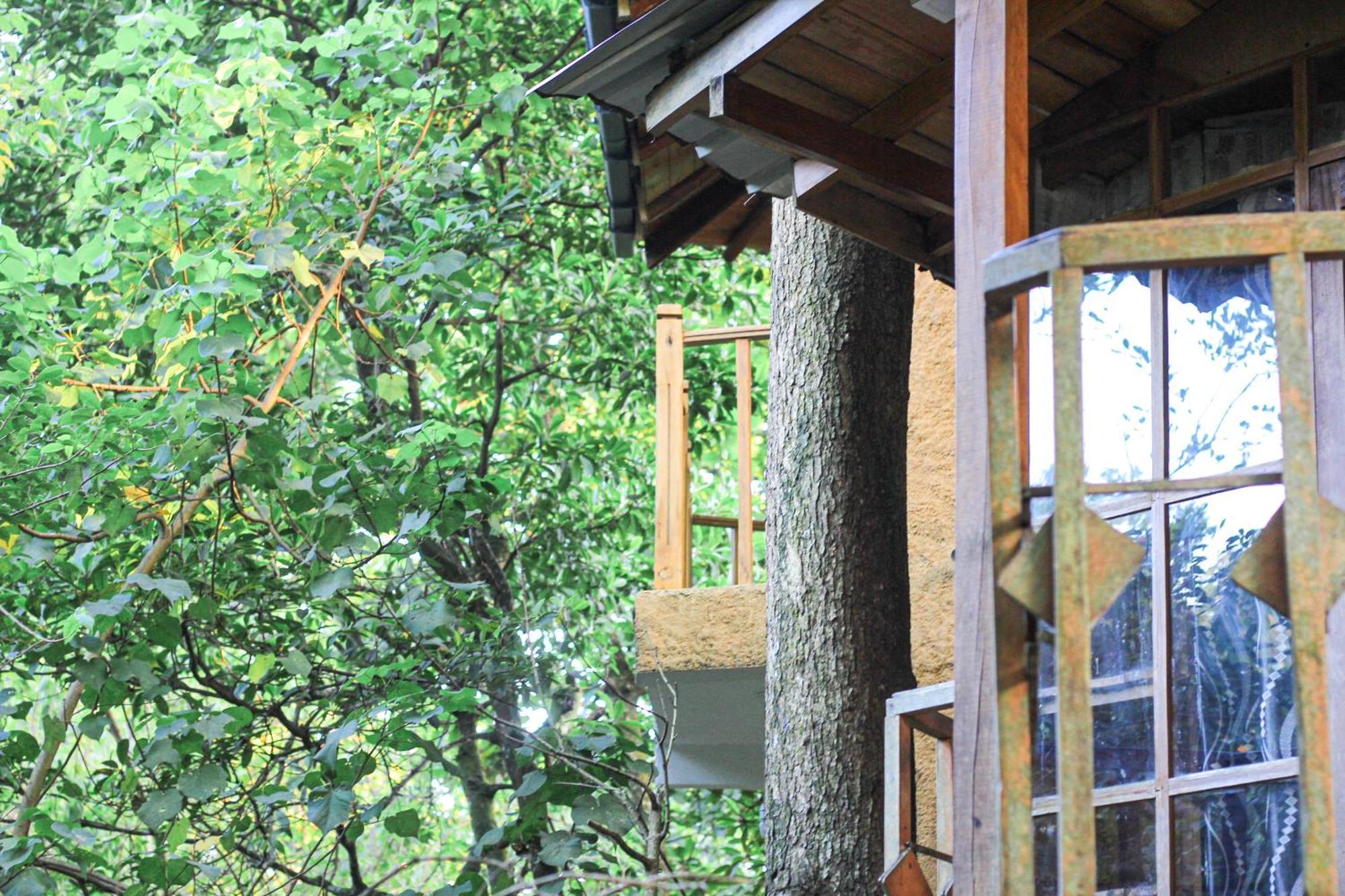 Гостевой дом Seasons Four Eco Friendly Treehouse Матара Экстерьер фото