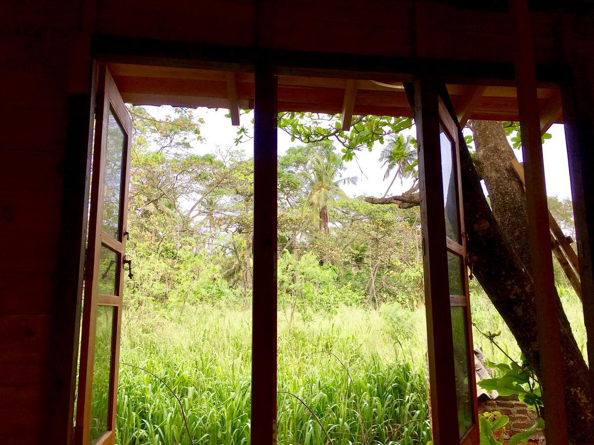 Гостевой дом Seasons Four Eco Friendly Treehouse Матара Экстерьер фото